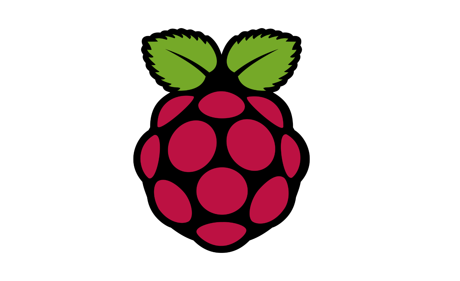 Raspberry Pi